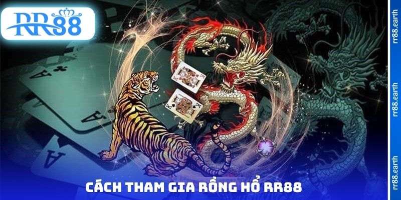 Cách tham gia rồng hổ RR88