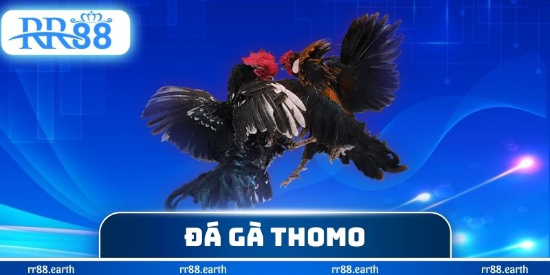 Đá Gà Thomo