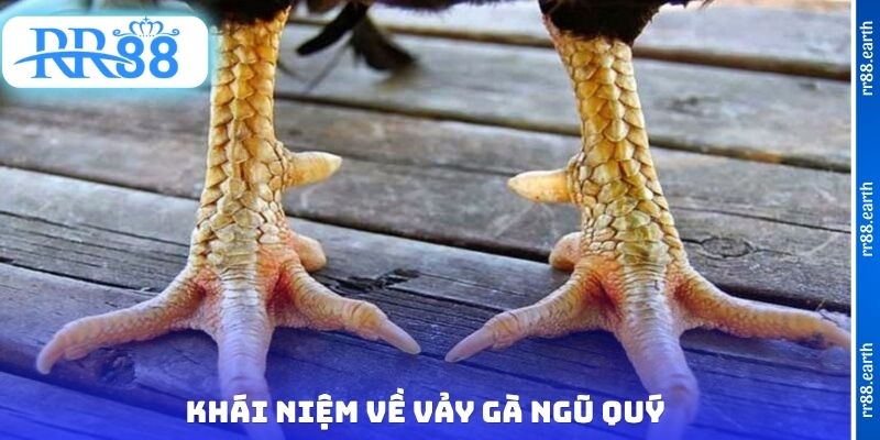 Khái niệm về vảy gà ngũ quý