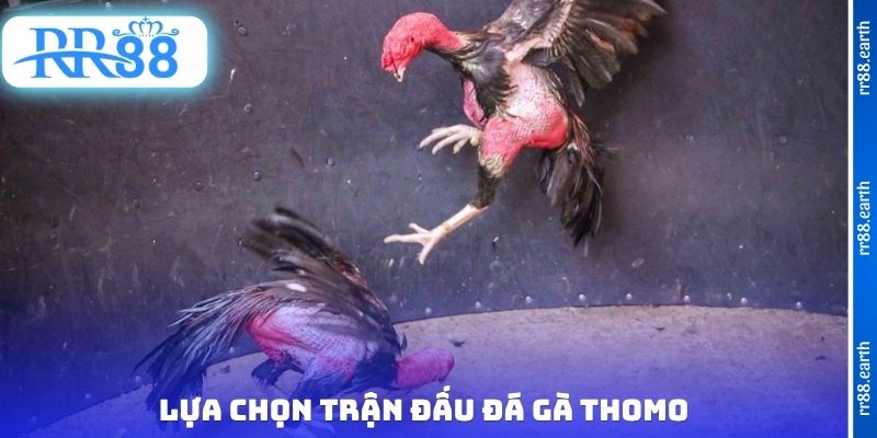 Lựa chọn trận đấu đá gà Thomo