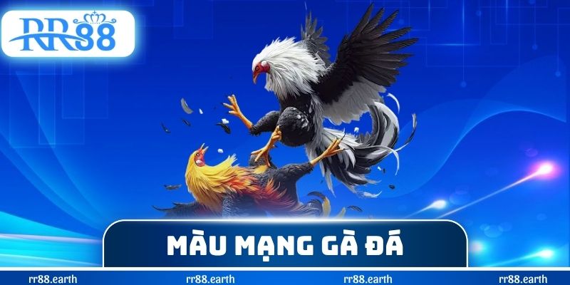 Màu Mạng Gà Đá