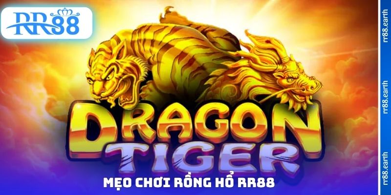 Mẹo chơi rồng hổ RR88