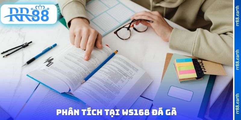 Phân tích tại WS168 đá gà