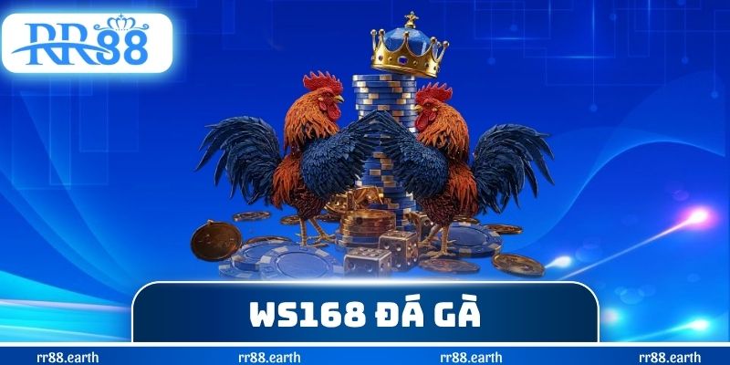 WS168 Đá Gà