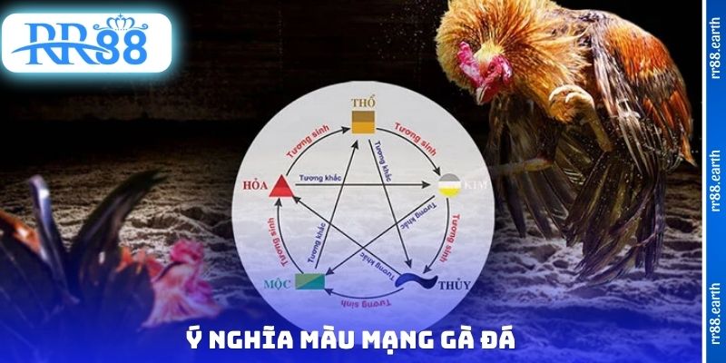 Ý nghĩa màu mạng gà đá